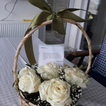 Osevio Com Tamamen Büyük Bir Hataydı