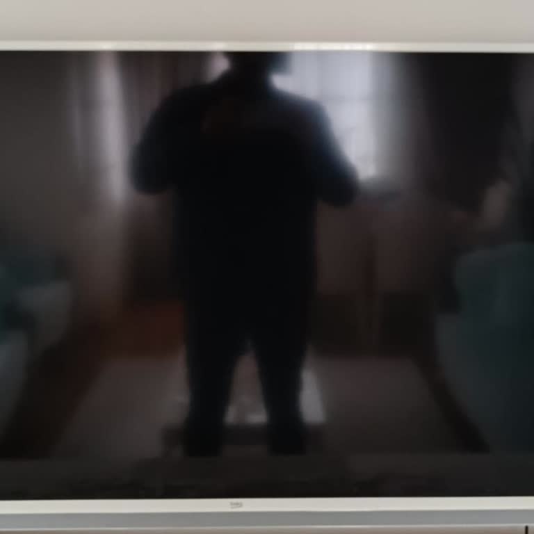 Beko B55-us-9498 Pişmanlığı Panel Ve Yavaşlık