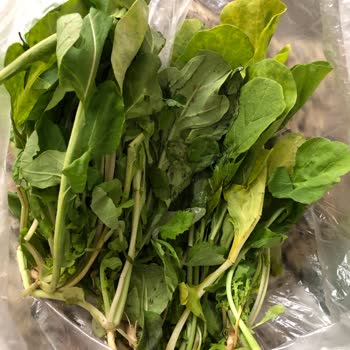 Bosch Buzdolabının Arızalı Olması.