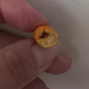 Can Kardeşler Kuruyemiş İçi Küflü Mısır