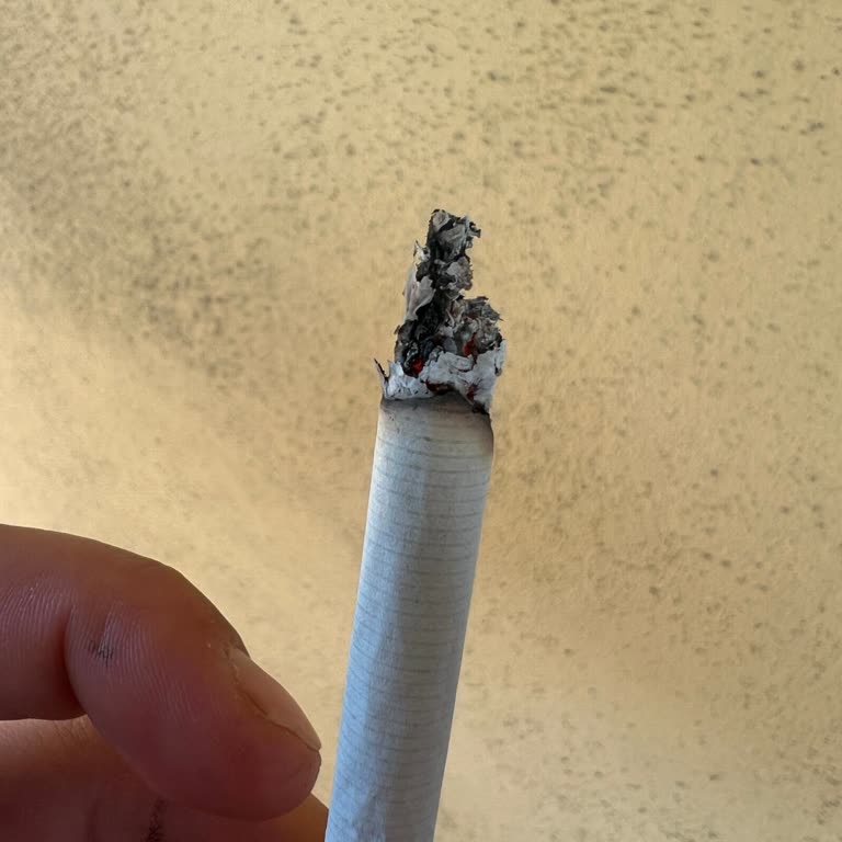 Parliament Tütün Kalitesizliği