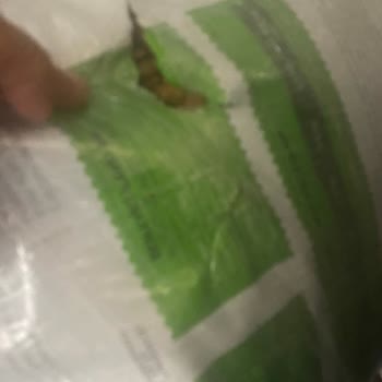 Mama Plus Hasarlı Ve Patlak Ürün