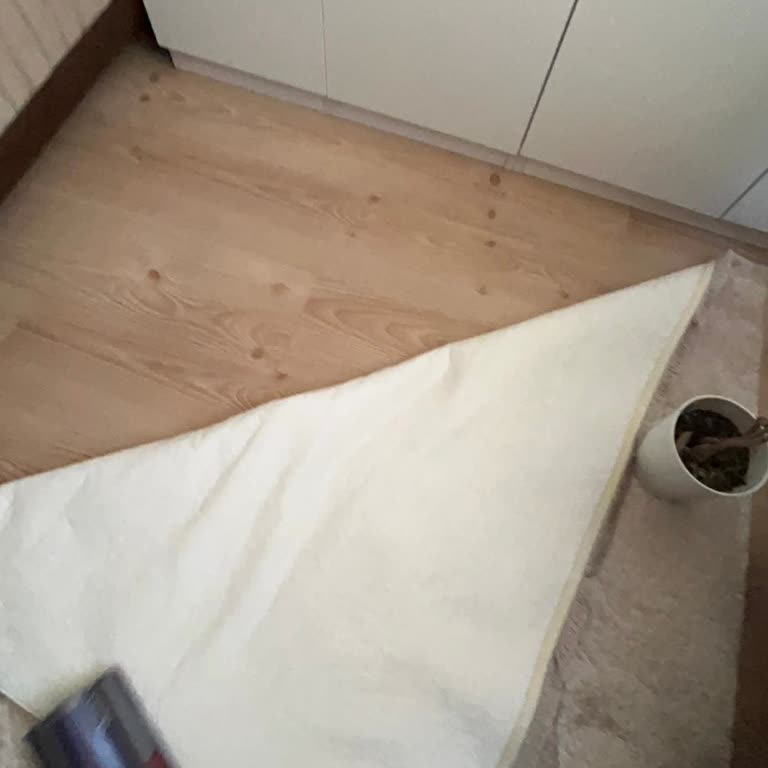 Dyson Yüksek Ses Sorunu