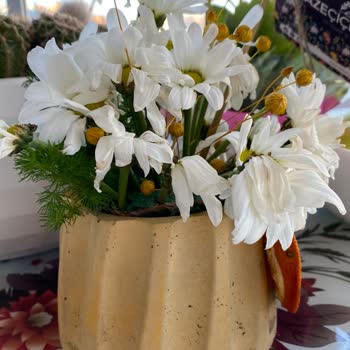 Taze Çiçek Solmuş Çiçek Göndermesi