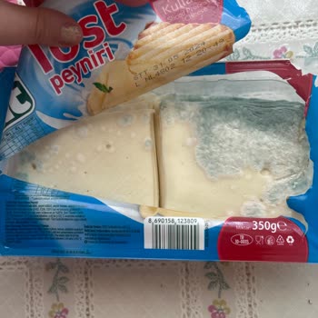 Teksüt Kaşar Peyniri Tarihi Geçmemesine Rağmen Dolapta Küflendi.