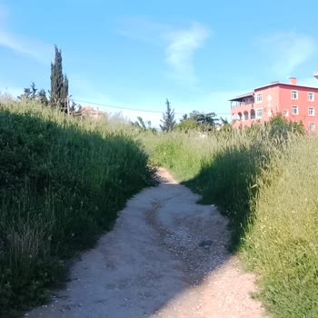 Büyükçekmece Belediyesi Otların Uzaması Ve Kesilmemesi