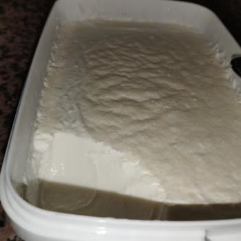 Eker Kaymaklı Denen Tava Yoğurdu