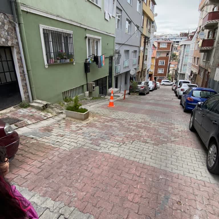 Kağıthane Belediyesi Çeliktepe Park Sorunu