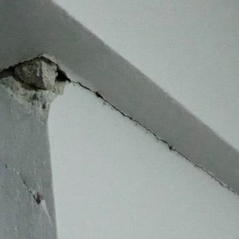 Masrafımı Karşılamıyor DASK Parası