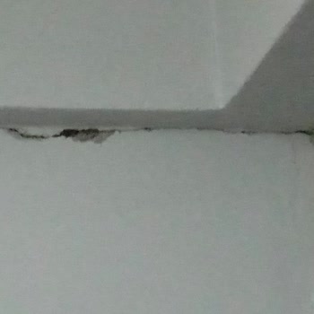 Masrafımı Karşılamıyor DASK Parası