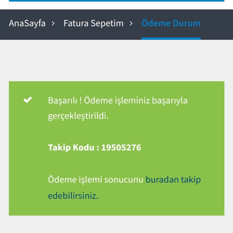Efaturaode.net Ödenmemiş Fatura Görünüyor
