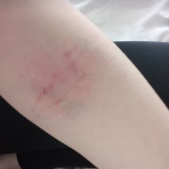 İlayda Özdemir İlgilenmiyor