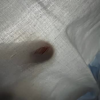 Yataş Bedding İade Süreci