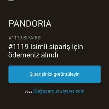 Pandoria Siparişim Bir Aydır Gönderilmedi: İade Taleplerim Bahanelerle Reddediliyor