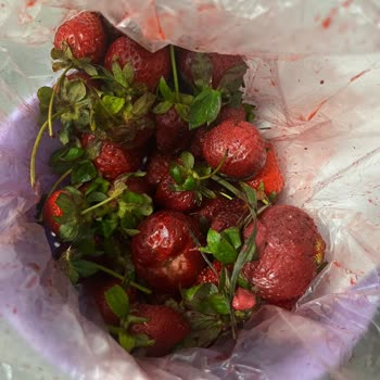 Migros Hemen Ezik Ve Çürük Ürünler