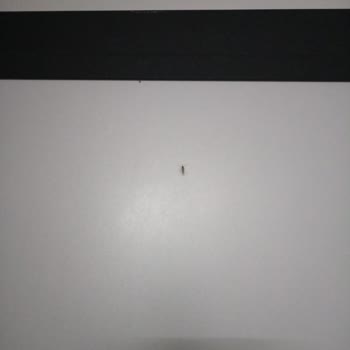 Raid Hiçbir Etkisi Yok Boşuna Giden Paramız