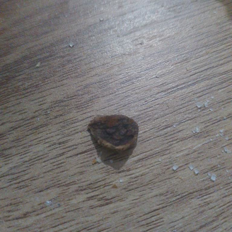 BİM Fare Dışkısı Mı, Değil Mi Anlamadım?