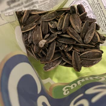 Çerezim Kuruyemiş Çekirdeğin İçinden Salyangoz Çıktı!