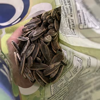 Çerezim Kuruyemiş Çekirdeğin İçinden Salyangoz Çıktı!