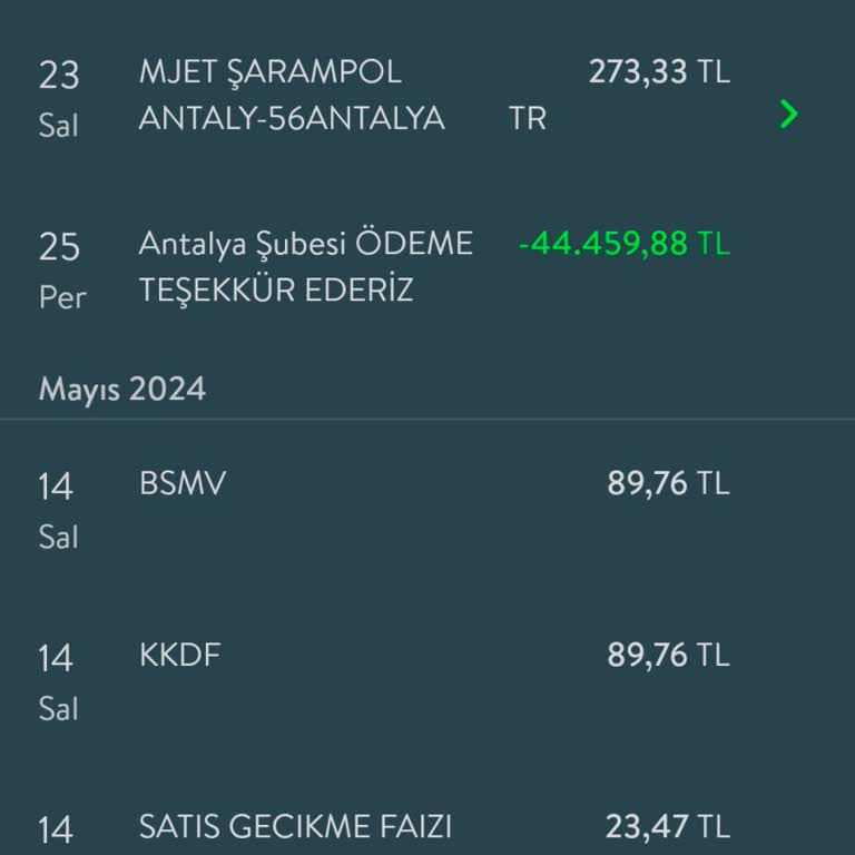 Maaş Müşterisine TEB Gecikme Faizi