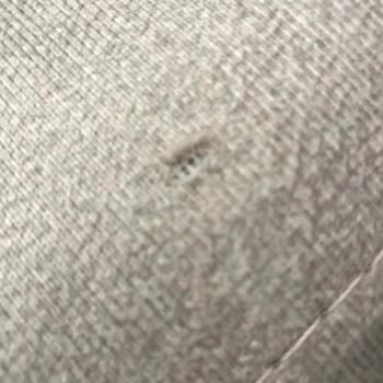 Aksu Çarşı 1,5 Senedir Yırtık Getirdikleri Koltuk Takımı