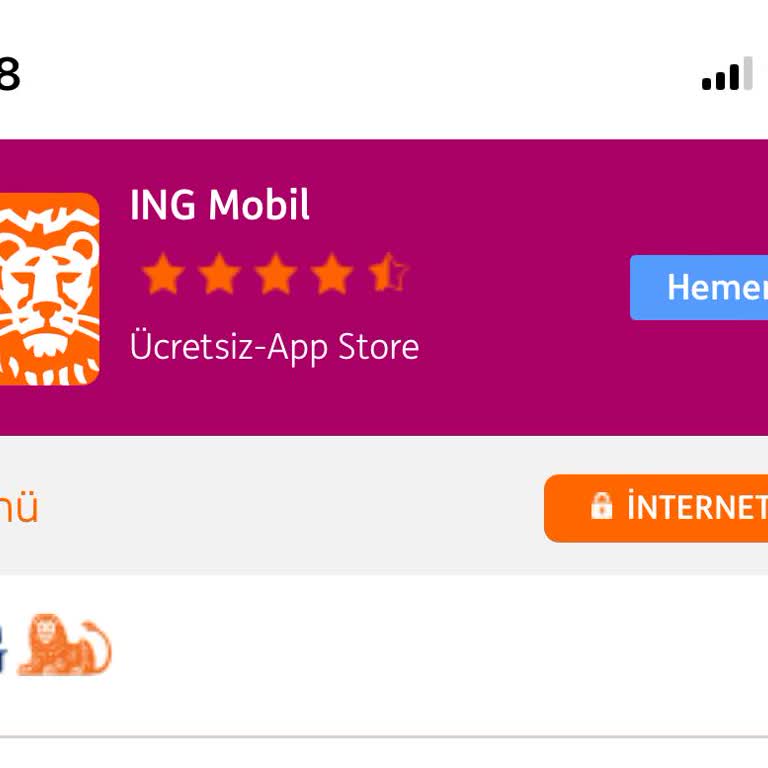 ING Maas Taşıma Ve Kredi Blokesi Çıkmazı