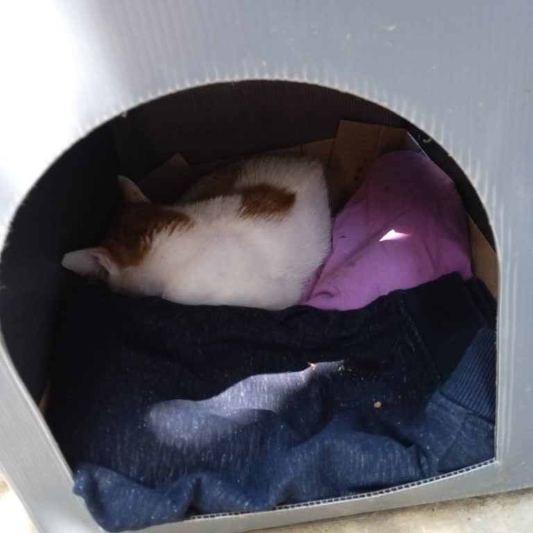 Beykoz Belediyesinin Duyarsızlığı