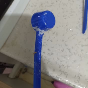 Hipp Hip Mama İçerisinden Kurt Ve Örümcek Ağına Benzer Bir Şey Çıktı.