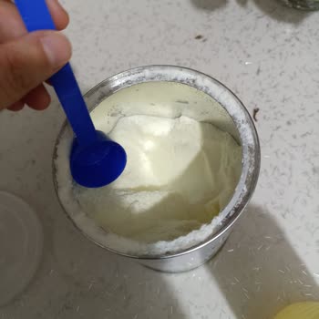 Hipp Hip Mama İçerisinden Kurt Ve Örümcek Ağına Benzer Bir Şey Çıktı.