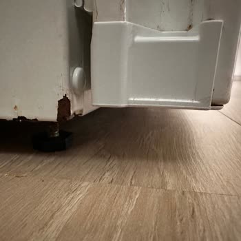 Bosch Yazıklar Olsun Size