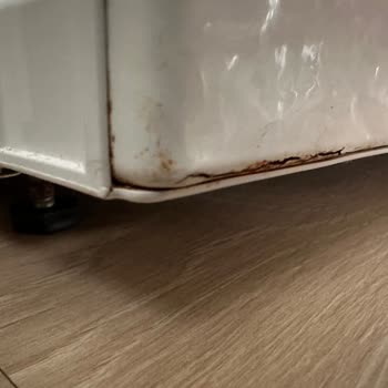 Bosch Yazıklar Olsun Size