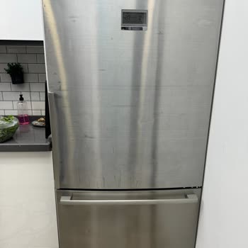 Bosch İnox Buzdolabı Renk Bozulması