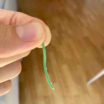 Pek Food Ezine Peynirli Börek İçinden Paket Lastiği Çıktı.