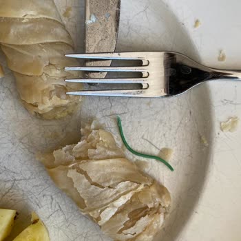 Pek Food Ezine Peynirli Börek İçinden Paket Lastiği Çıktı.