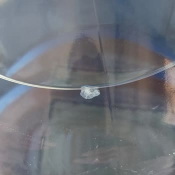 Elmacık Su Açılmamış Damacana İçindeki Yabancı Cisim