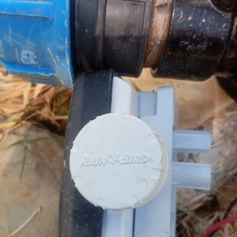 Rain Bird Marka Zaman Saati