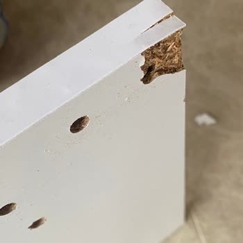 A101 Ve Tiamob Firmalarının Sorumsuzluğu Ve Mağduriyet Yaratması