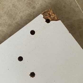 A101 Ve Tiamob Firmalarının Sorumsuzluğu Ve Mağduriyet Yaratması