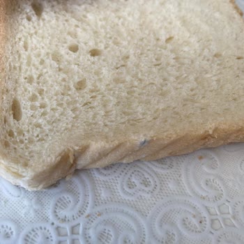 İstanbul Halk Ekmek Küflü Ekmek Yemek