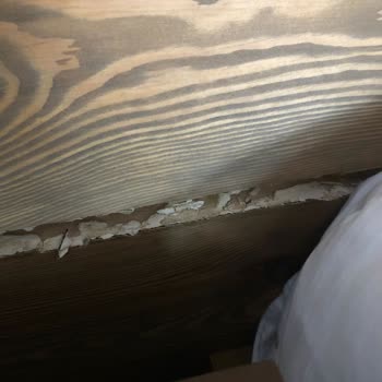 Ahşap Gemisi Güvenilmez Firma, Hiçbir Yaptırım İşlemiyor.