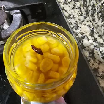 Tat Gıda Mısır Konservenin İçinde Böcek Çıktı