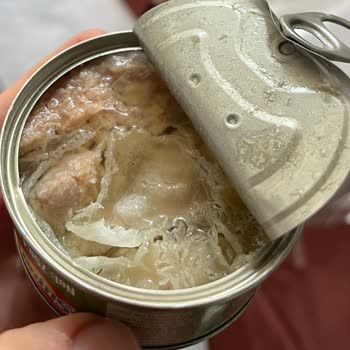 Superfresh Ton Balığı Bozuk Çıktı
