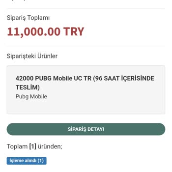 enucuzpubg.com 1 Haftadır Uc Gelmedi Kimseye Ulaşamıyorum
