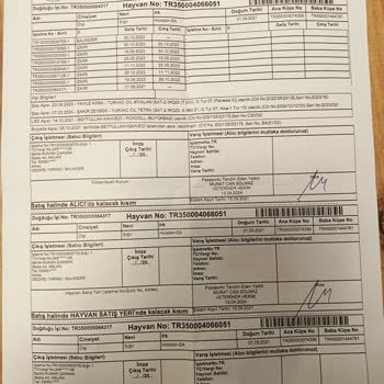 TARSİM Hayvan Kesim Ücreti