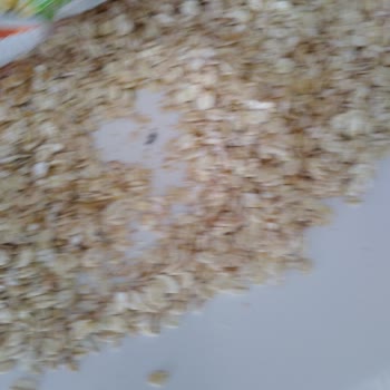 Güzel Ada Gıda Fare Siğili Var!