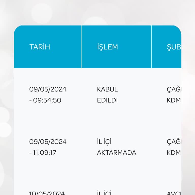 PTT Kargo Ürünümü Dağıtıma Çıkarmıyor