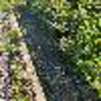 DSİ (Devlet Su İşleri) Dereden Doğru İstinat Duvarı Yapılması