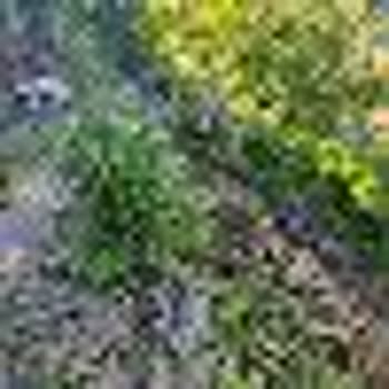 DSİ (Devlet Su İşleri) Dereden Doğru İstinat Duvarı Yapılması