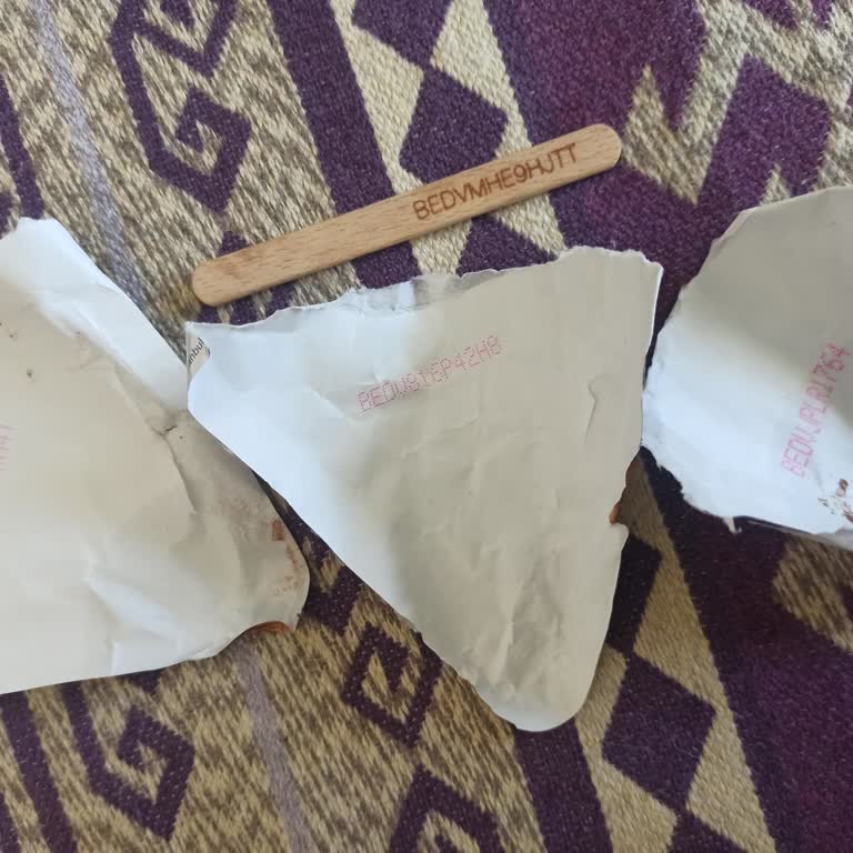 Algida Bedava Dondurma Hiçbir Market Vermiyor