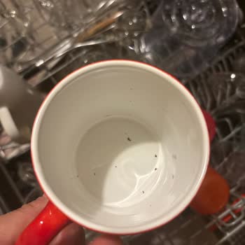 Samsung Bulaşık Makinesi Temiz Yıkamıyor!